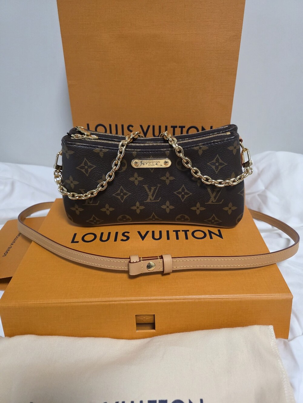 Louis Vuitton Monogram Liv